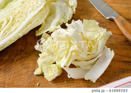 Fresh Chinese cabbage 61666563