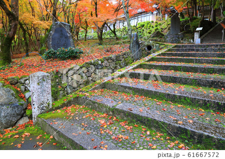秋の福知山市長安寺 秋の福知山市長安寺 61667572