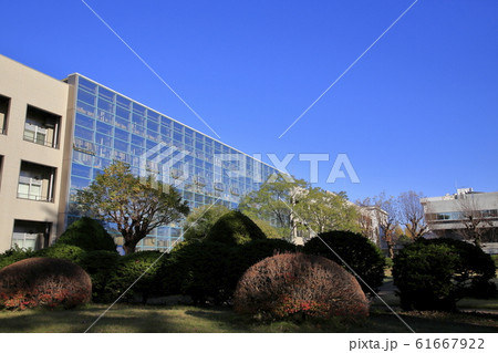 国立千葉大学 松戸キャンパス 国立千葉大学 松戸キャンパス 61667922