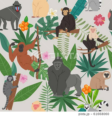 Monkeys And Tropical Leaves And Trees Vector のイラスト素材