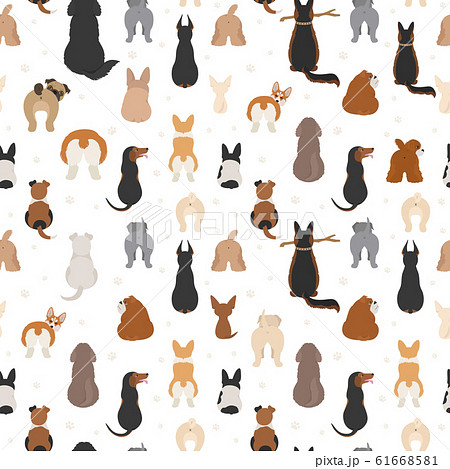 Dog poses behind. Dog`s butts. Flat design 61668581