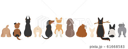 Dogs poses behind. Dog`s butts. Flat design border 61668583