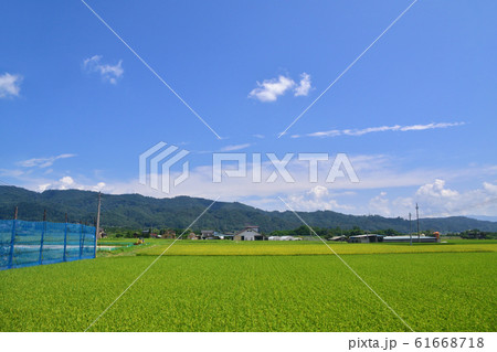 大糸線沿線風景 61668718