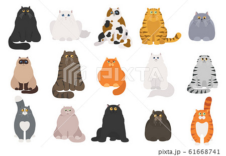 Cat Poster Cartoon Cat Characters Collection のイラスト素材