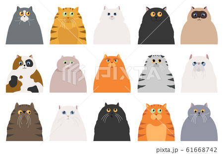 Cat Poster Cartoon Cat Characters Collection のイラスト素材
