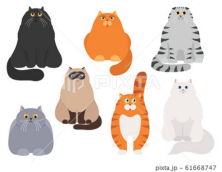 Cat Poster Cartoon Cat Characters Collection のイラスト素材