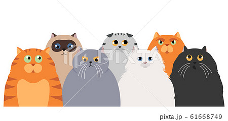Cat Poster Cartoon Cat Characters Collection のイラスト素材