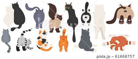 Cats poses behind. Cat`s butts. Flat design Cats poses behind. Cat`s butts. Flat design 61668757