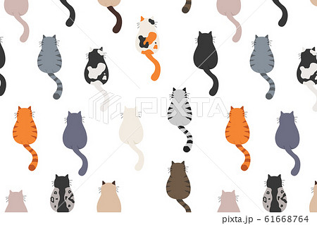 Cats poses behind. Cat`s butts. Flat design 61668764