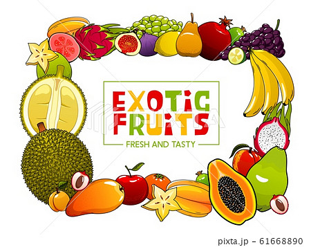 Summer food vector frame of exotic tropical fruits 61668890