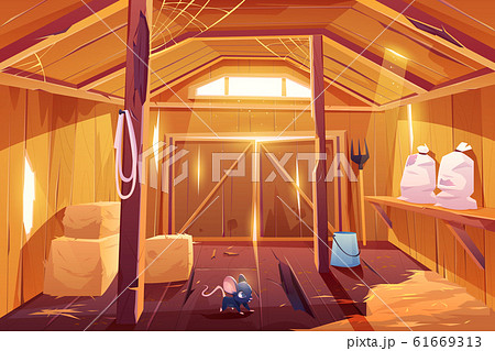 Mouse in farm barn house. Fieldmouse in ranch 61669313