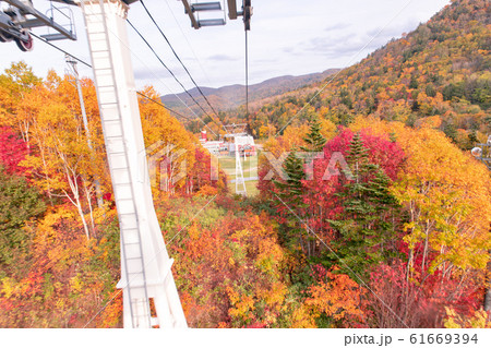 札幌の紅葉 国際スキー場 札幌の紅葉 国際スキー場 61669394