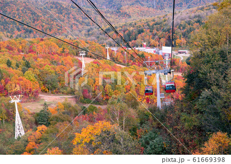 札幌の紅葉　国際スキー場 61669398