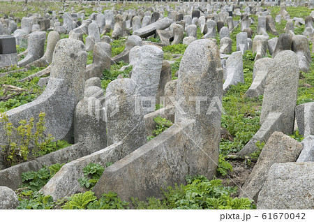 Old jewish cemetery Old jewish cemetery 61670042