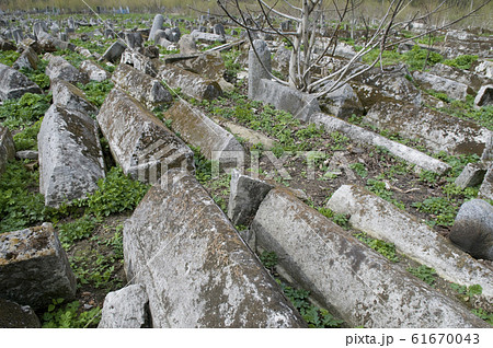 Old abandoned Jewish cemetery Old abandoned Jewish cemetery 61670043