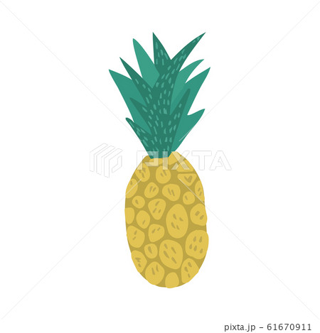Pineapple in doodle style isolated on white Pineapple in doodle style isolated on white 61670911