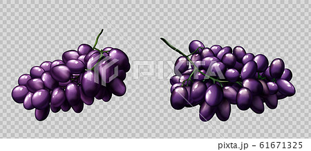 Realistic grapes bunches ripe purple berries set 61671325