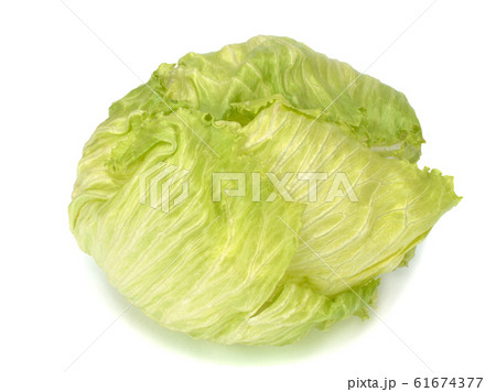 Iceberg lettuce on a white background Iceberg lettuce on a white background 61674377