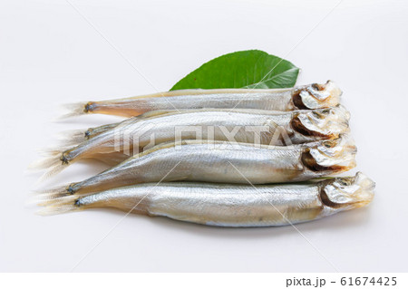 ししゃも 61674425