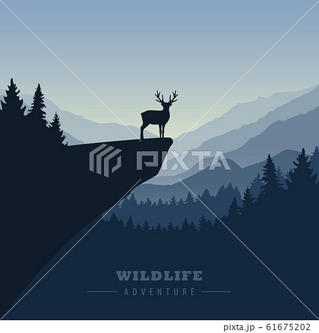 wildlife adventure elk in the wilderness on a cliff 61675202