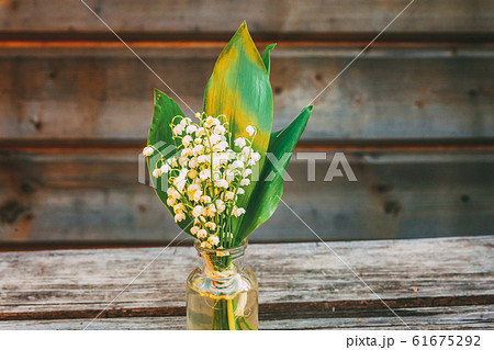 Lily of the valley or may lily on wooden 61675292