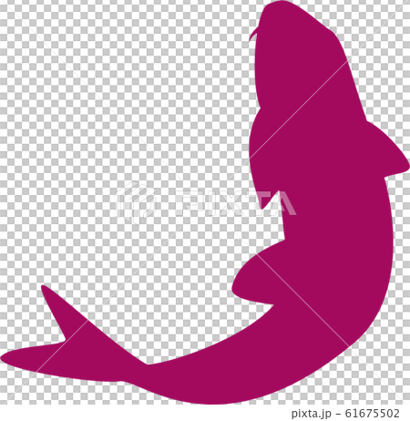 鯉アイコンイラスト 61675502