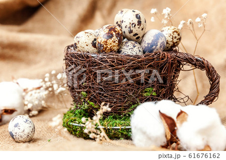 Easter decoration with egg in nest and cotton on Easter decoration with egg in nest and cotton on 61676162
