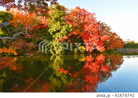 高岡古城公園 紅葉の写真素材