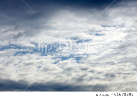 冬空（1月） 61678895