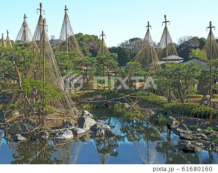 白鳥庭園点景 白鳥庭園点景 61680160