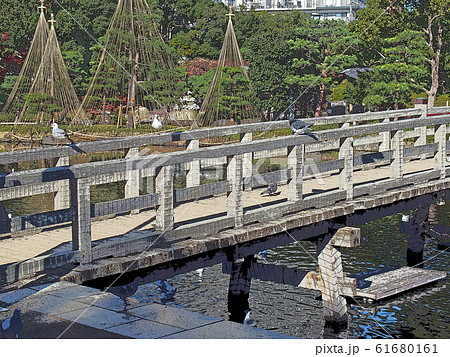白鳥庭園点景 白鳥庭園点景 61680161