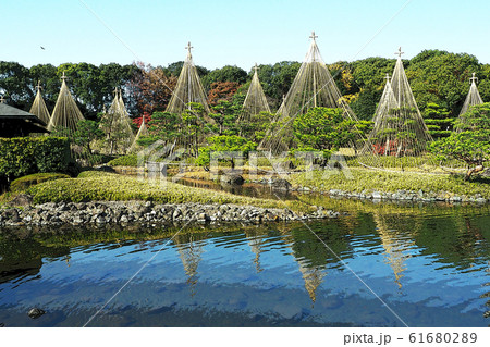 白鳥庭園点景 61680289