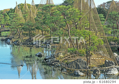 白鳥庭園点景 61680294