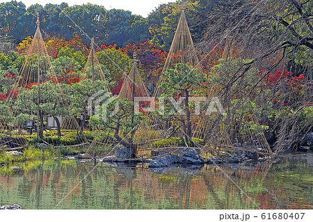 白鳥庭園点景 61680407