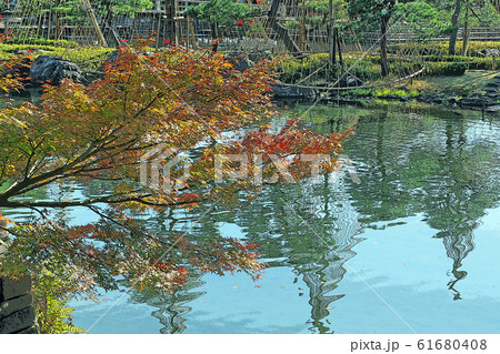 白鳥庭園点景 61680408