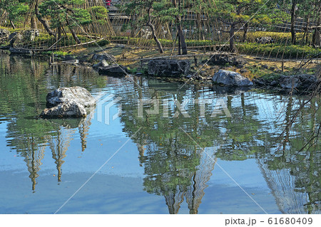 白鳥庭園点景 白鳥庭園点景 61680409