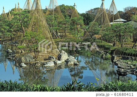 白鳥庭園点景 61680411