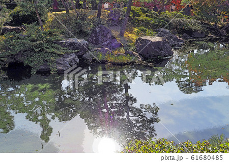 白鳥庭園点景 61680485