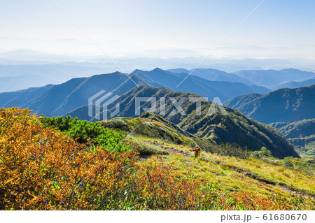 秋の五竜岳登山 （遠見尾根を行く登山者） 61680670