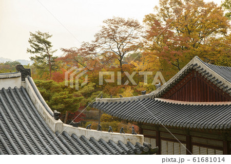 Colorful autumn landscape in the park and the countryside. Beautiful flowers and trees in the autumn season. 284 61681014