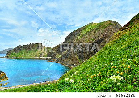 7月の礼文島 花が咲く澄海岬 7月の礼文島 花が咲く澄海岬 61682139