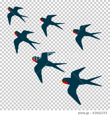 Flock of swallows 61682255