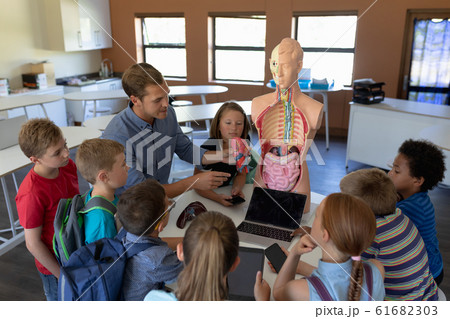Male teacher using an human anatomy model to teach Male teacher using an human anatomy model to teach 61682303