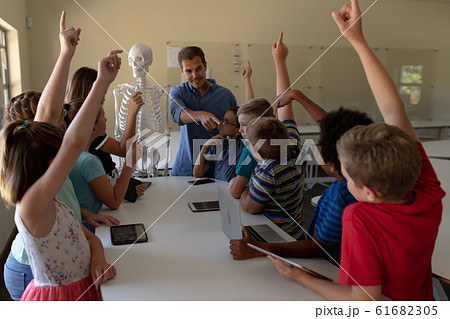 Male teacher using a model of a human skeleton to teach Male teacher using a model of a human skeleton to teach 61682305