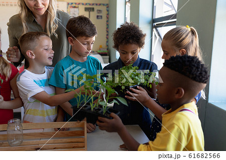 Female teacher around a box of plants for a nature study lesson in an elementary school classroom Female teacher around a box of plants for a nature study lesson in an elementary school classroom 61682566
