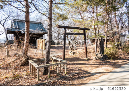 妻女山の風景 （川中島古戦場） 61692520