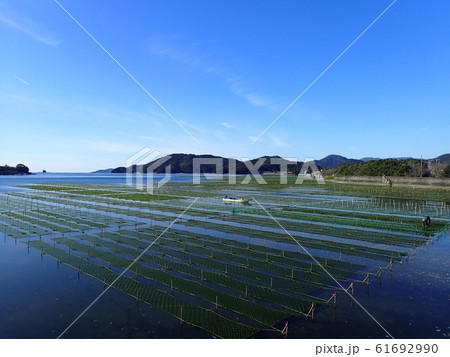 志摩地方のアオサの養殖 61692990