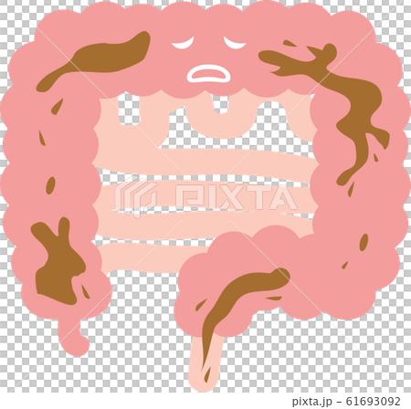Illustration of intestine (diarrhea) internal organs digestive system 61693092