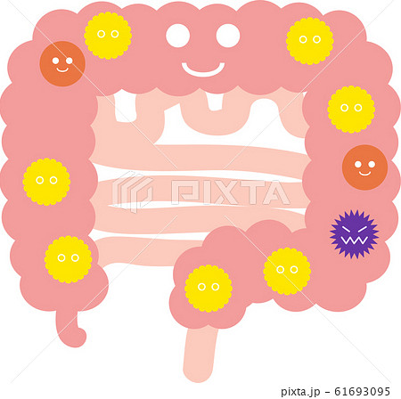 バランスのいい腸内フローラのイラストのイラスト素材