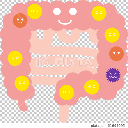 Illustration of a well-balanced intestinal flora 61693095